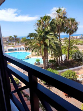Amarilla golf 2c3